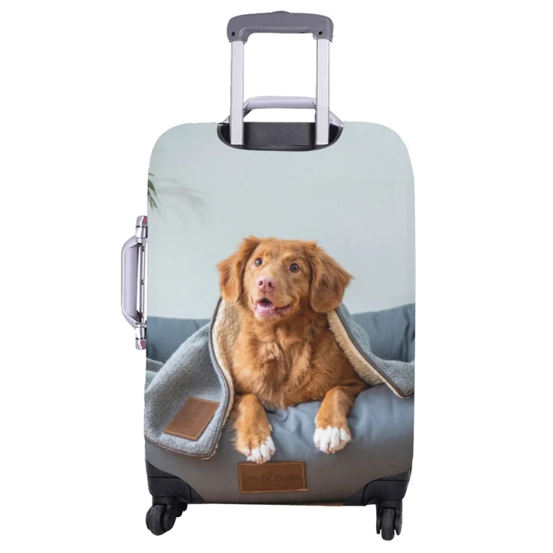 Personalize Pet Suitcase Covers